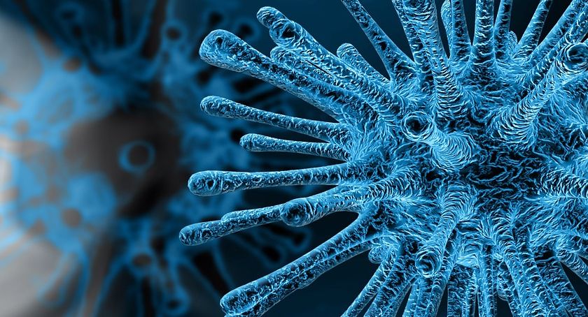 Raport z sytuacji epidemicznej