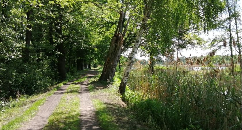 Woda ze Stawów Milickich wspomoże oczyszczanie Baryczy