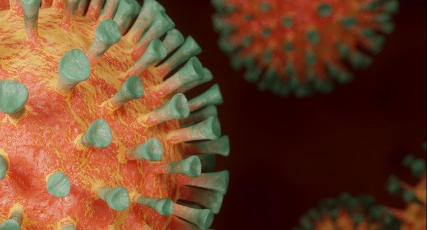 Informacja Wojewody Dolnośląskiego Jarosława Obremskiego w związku z sytuacją związaną z epidemią koronawirusa
