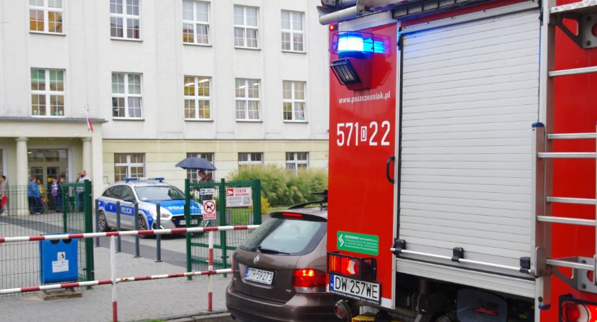 Gniazdo os na początek roku