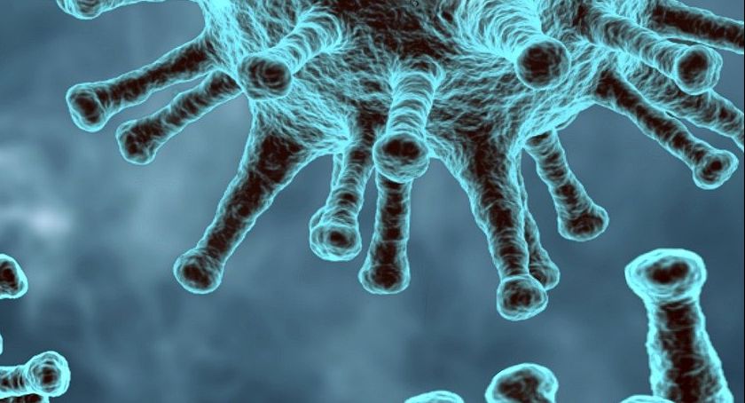 Informacje epidemiczne z regionu