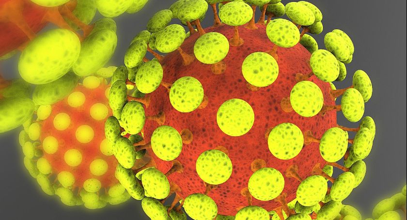 Wiadomości epidemiczne z regionu 