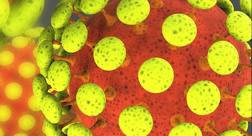 Informacje epidemiczne z regionu