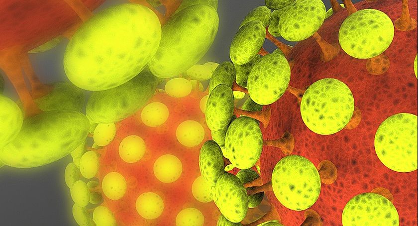 Informacje epidemiczne z regionu