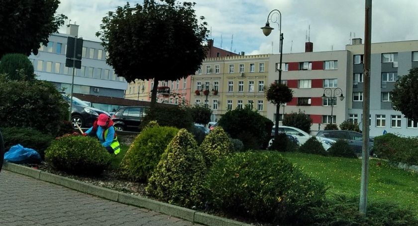 Sprzątanie terenów zielonych