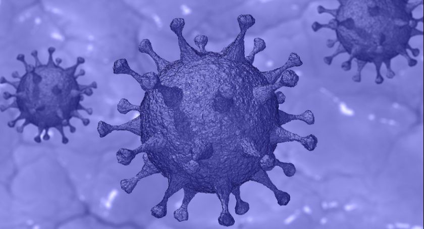 Prawie co piąty Polak (17%) uważa, że nie ma żadnej epidemii koronawirusa