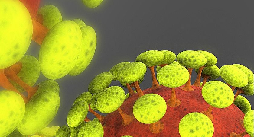 Sytuacja epidemiczna z regionu