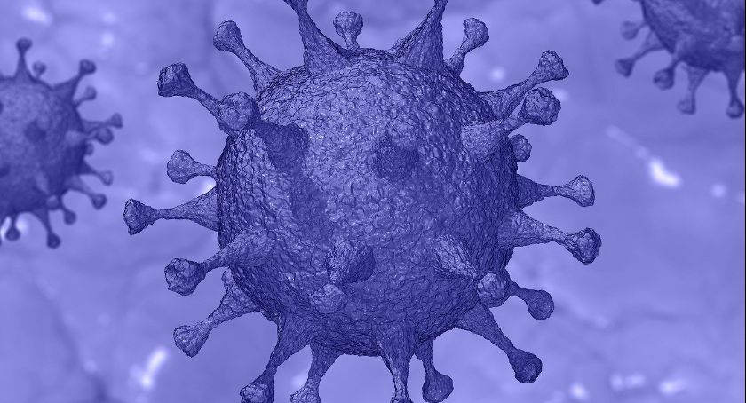 Informacje epidemiczne z regionu