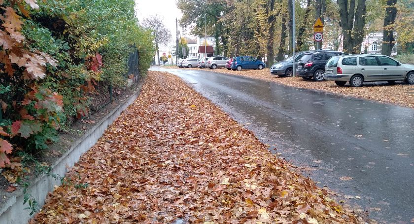 Po kostki w liściach