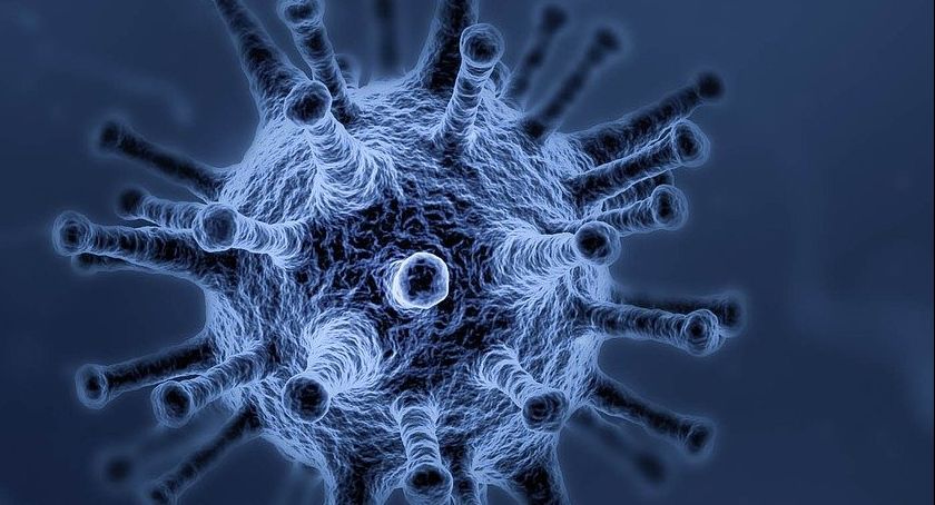 Informacje epidemiczne z regionu