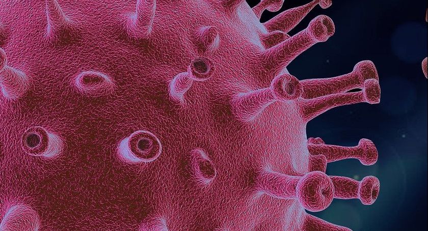 Sytuacja epidemiczna z regionu