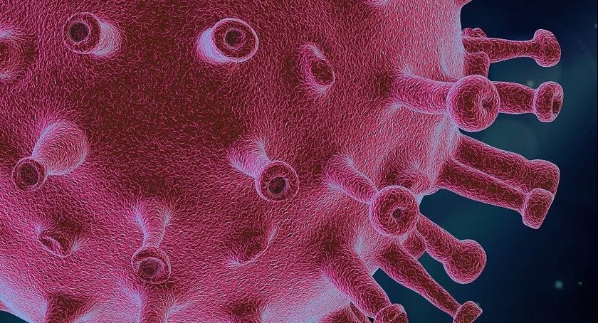 Sytuacja epidemiczna z regionu