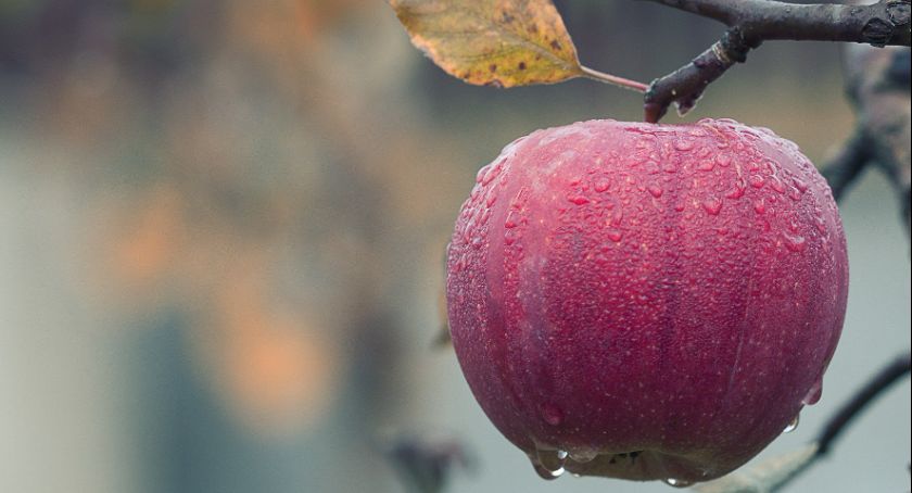 Uwaga, 30 listopada rozpoczęły się…