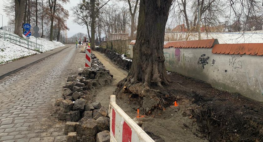 Slalom między drzewami za 90 tys. zł? - FILM