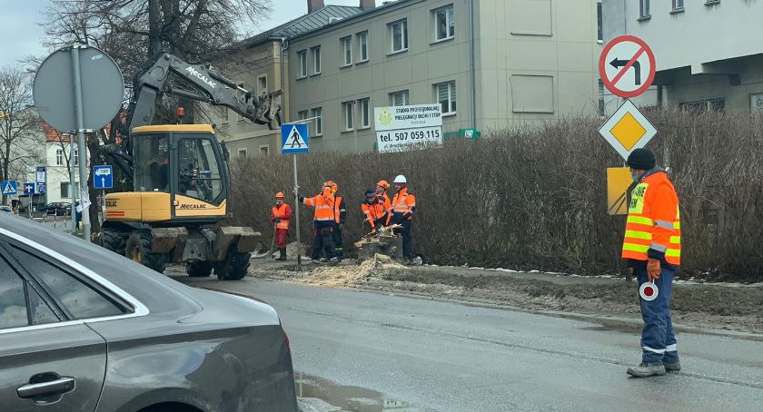 Rusza przebudowa głównej arterii. Trwa wycinka drzew