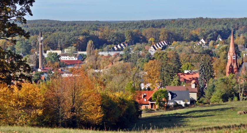 Zagospodarowanie Grzybka