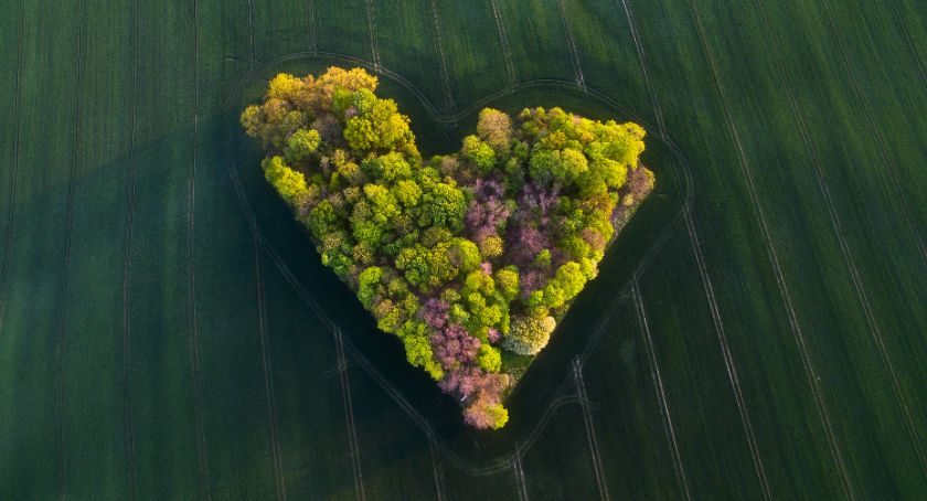 Zdjęcie Zagajnika Miłości wyróżnione w prestiżowym konkursie
