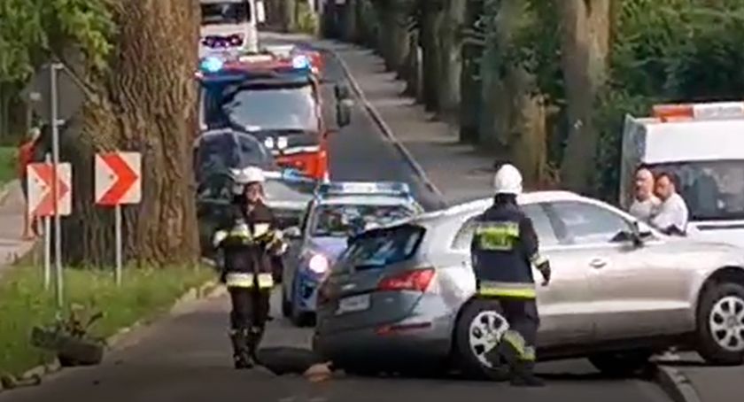 Zderzenie w Obornikach Śląskich