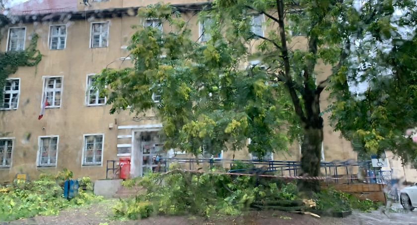 Połamane drzewo przed pocztą