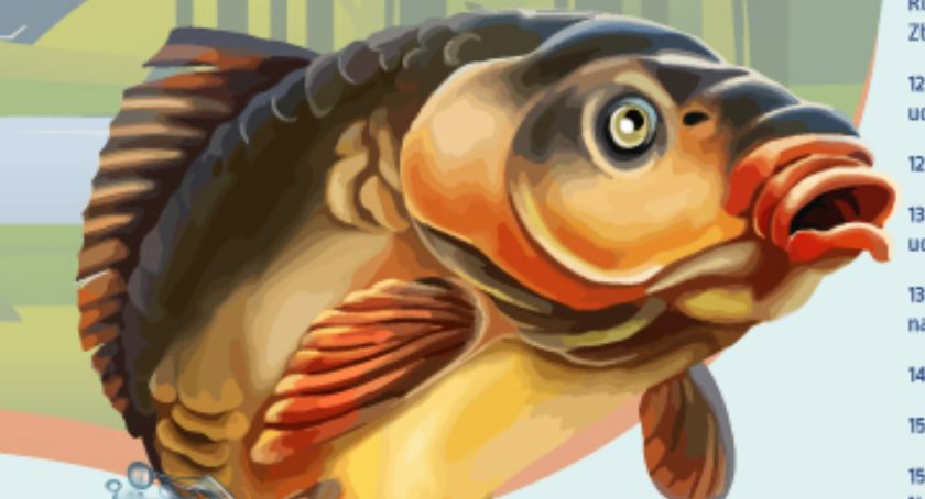 Karp w Rudzie Żmigrodzkiej