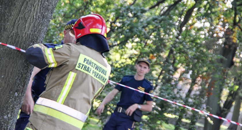 Złamane drzewo spadło na nastolatka