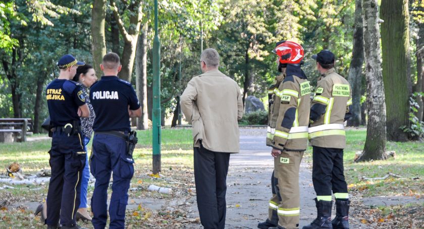 Tragedia w Parku Miejskim w Trzebnicy Czy doszło do zaniedbań? Ujawniamy zaskakujące fakty i dokumenty...
