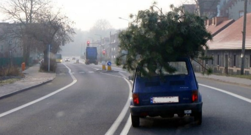 Jak (nie)przewozić choinki