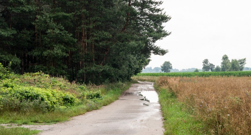 Po co buduje się trzecią drogę do Bychowa