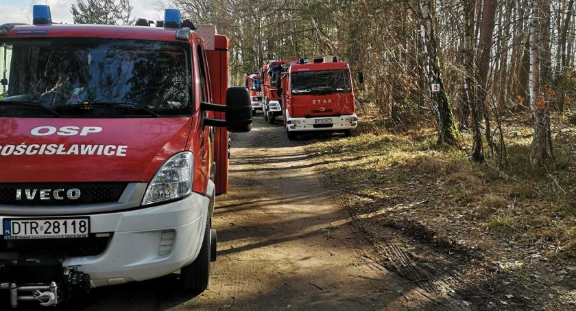 Pięć godzin poszukiwań
