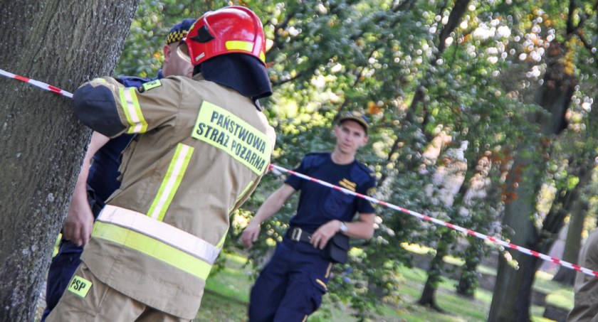 Sprawa tragedii w parku. Prokuratura bada sprawę i zabezpiecza dokumenty