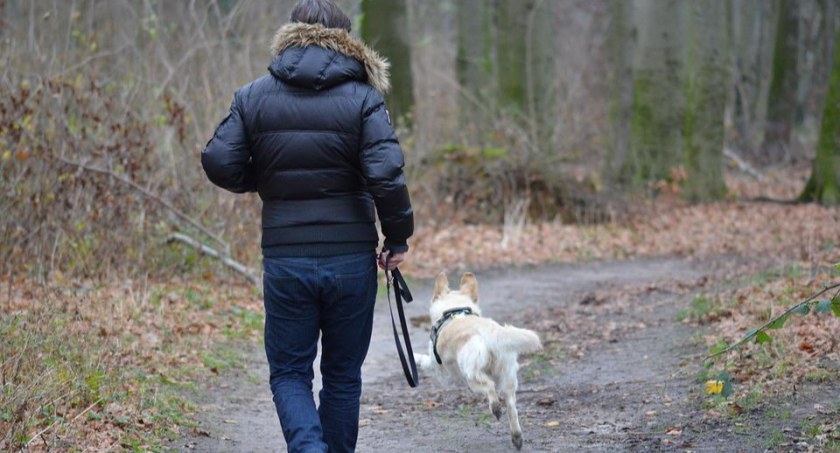 Dogtrekking w Skarszynie już w sobotę