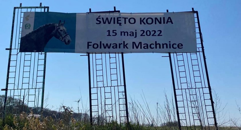 Piękne konie zawitają do Machnic. Święto Konia już w niedzielę