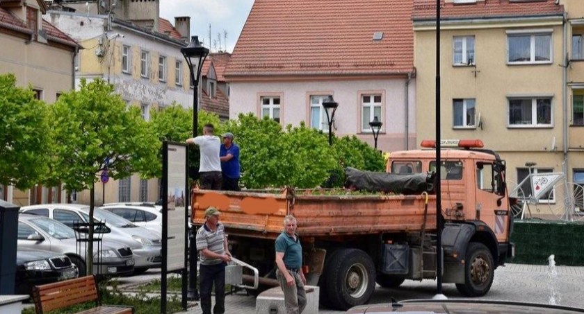 Pojawiły się na żmigrodzkim rynku