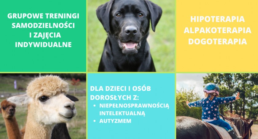 Bezpłatne zajęcia dla osób z niepełnosprawnościami