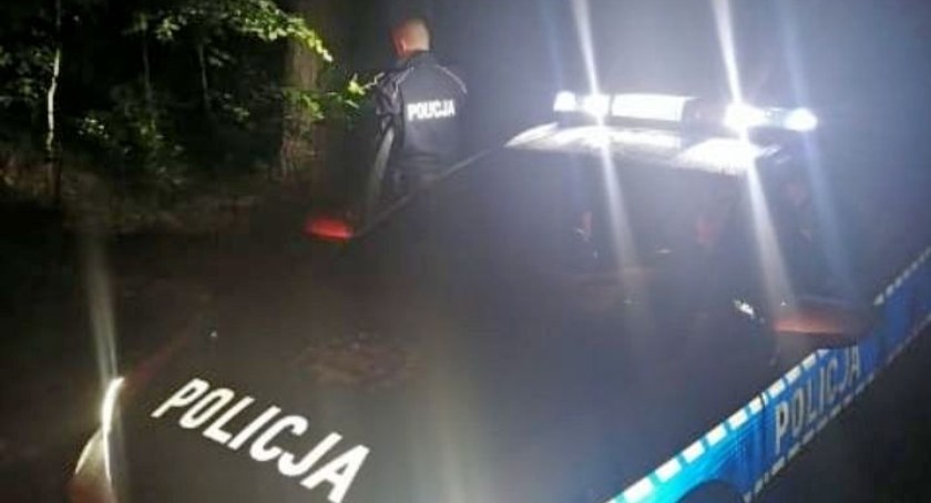 Zgubiła się w lesie