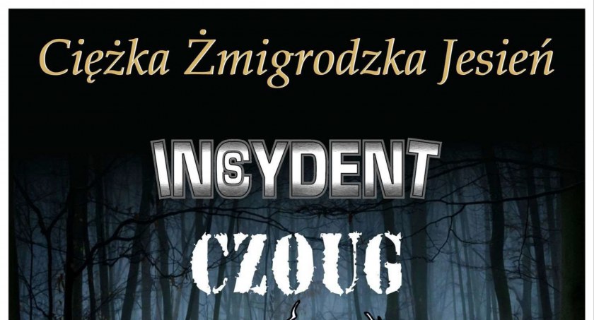 Zespół Placówek Kultury w Żmigrodzie zaprasza na sobotni koncert!