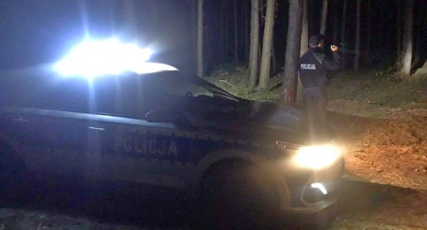 Zgubiła się w lesie