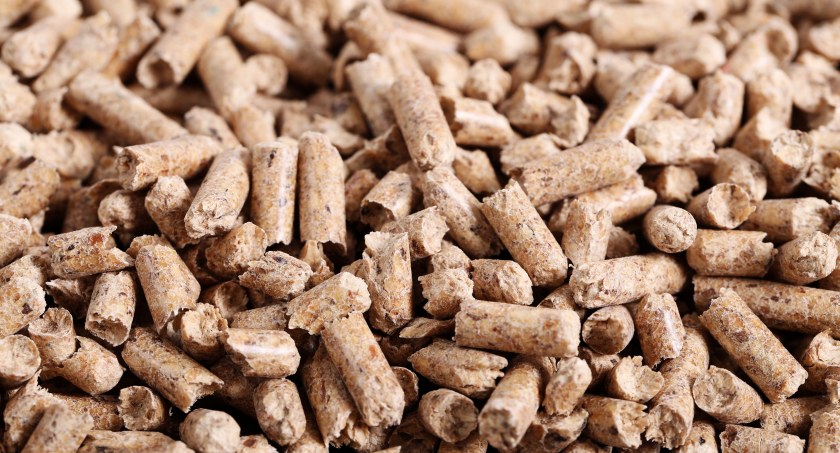 Pellet za darmo
