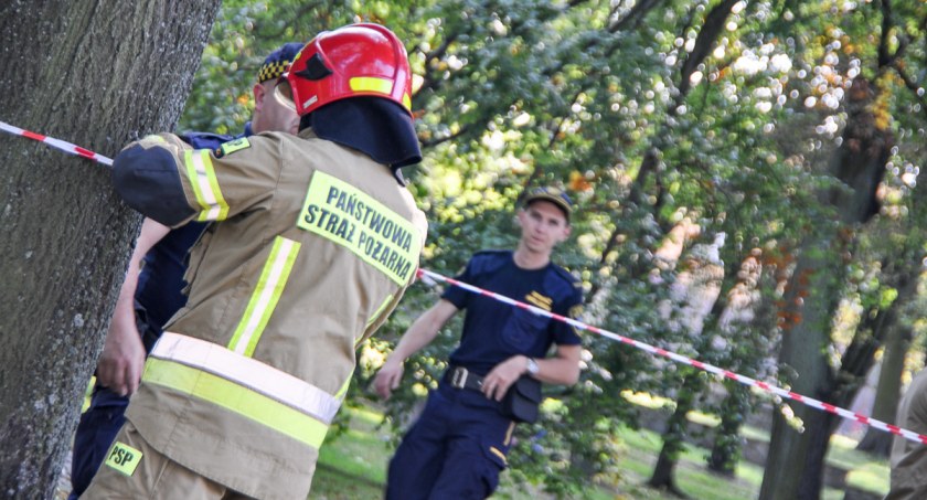 Runął na niego konar, do dzisiaj Błażej jeździ na wózku. Prokuratura sprawdza czy doszło do zaniedbań urzędników