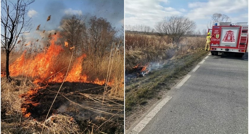 Niestety, sezon na wypalanie traw w powiecie trzebnickim rozpoczęty