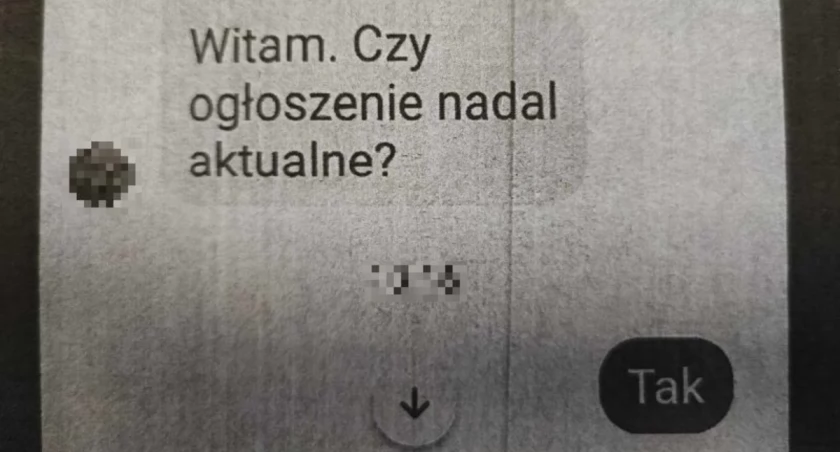 Chciał sprzedać obraz. Stracił 22 tys. zł