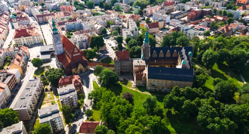 Znani ludzie pochodzący z Oleśnicy