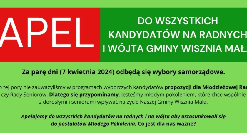 Młodzieżowa Rada Gminy apeluje o partnerstwo