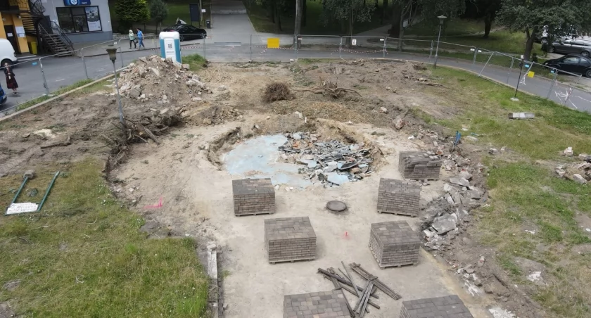 Wyrżnięto drzewa na placu przed parkiem. Będzie kolejna betonoza?