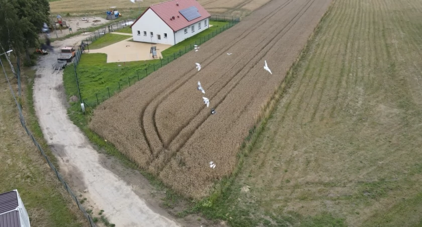 Świetlica jest, ale droga fatalna