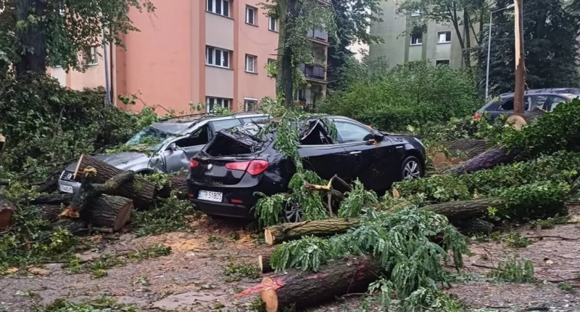 Drzewa powalone na samochody, zalania, przerwy w zasilaniu
