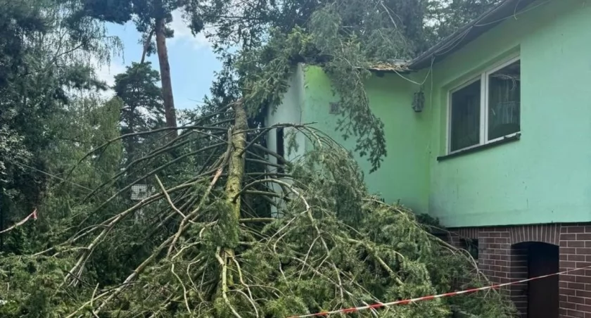 Sprzątanie po burzy trwa. Kiedy usunięte zostaną drzewa z traktów spacerowych w lesie?
