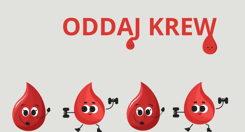 Oddaj krew w Żmigrodzie