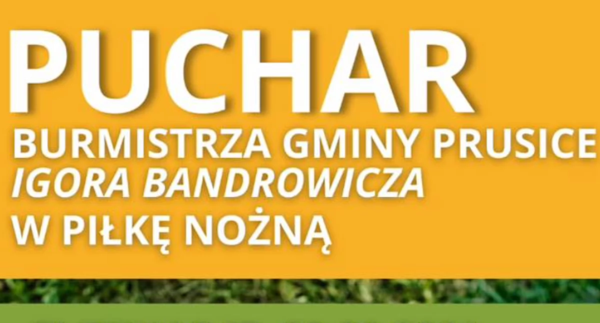 Puchar w piłkę nożną