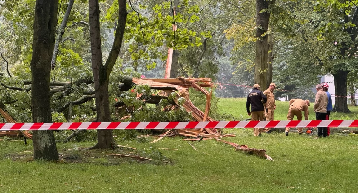 Skutki porannej burzy w Trzebnicy